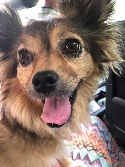 150. Foto Challaenge:  Die Augen, der Spiegel der Seele-Beitrag-Bild