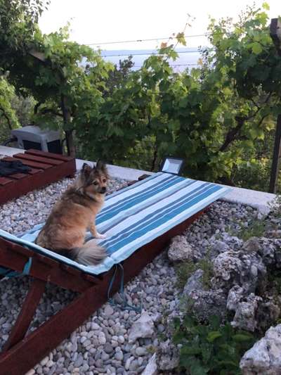 32. Farben Challenge  ** ( BUNTE ) STREIFEN **-Beitrag-Bild