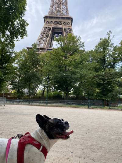 Dogorama Photo Challenge - Türme-Beitrag-Bild