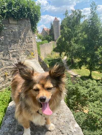 64. Handy Foto Challenge - Hoch hinaus-Beitrag-Bild