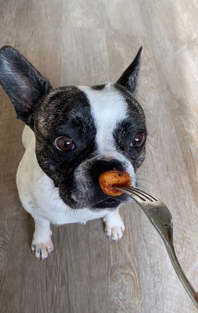 63. Handyfotochallenge   * Nase dran ! *-Beitrag-Bild