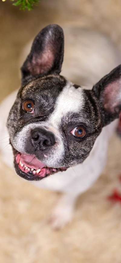 150. Foto Challaenge:  Die Augen, der Spiegel der Seele-Beitrag-Bild