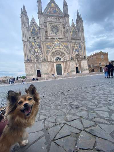 151. Photo Challenge: Sehenswürdigkeiten-Beitrag-Bild