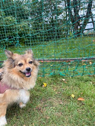 68. Handy Foto Challenge: "Ins Netz gegangen"-Beitrag-Bild