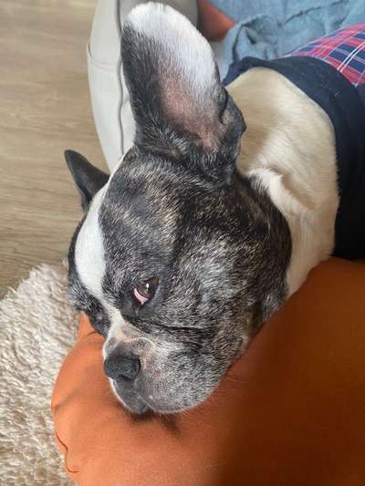 Knubbel entfernen ja oder nein?-Beitrag-Bild