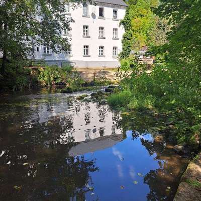 Hundetreffen-Treffen für groß und klein auf einen Spaziergang oder einer kl. Wanderung hier in der Umgebung-Bild