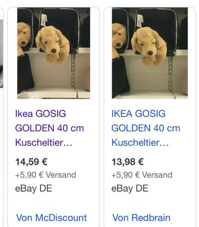 Suche Ikea Goldie-Beitrag-Bild