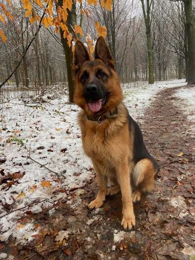 Fotochallenge Nr. 67: Euer Lieblingsbild-Beitrag-Bild