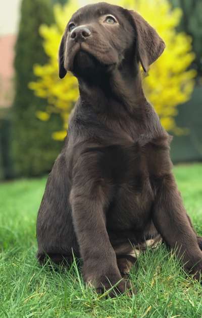 Fotochallenge Nr. 67: Euer Lieblingsbild-Beitrag-Bild