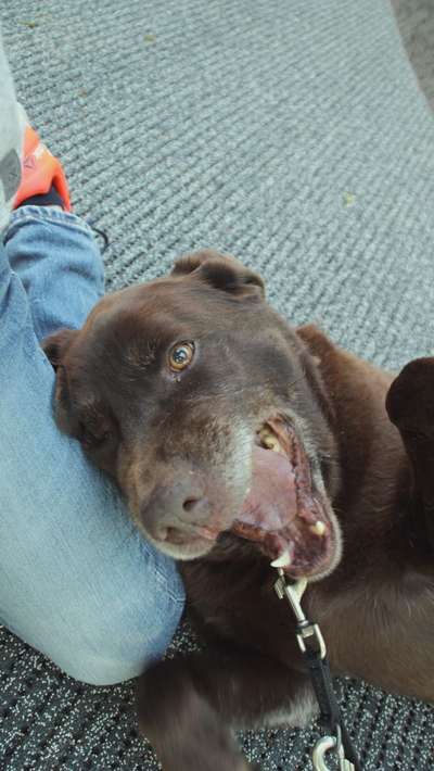 Fotochallenge Nr. 67: Euer Lieblingsbild-Beitrag-Bild