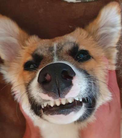 Handy-foto Challange nr. 11-Beitrag-Bild