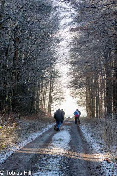 Giftköder-Social Walks in und um Kirtorf-Bild