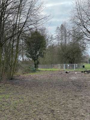 Hundeauslaufgebiet-Freilauffläche Hinter der Rennbahn-Bild