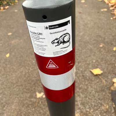 Giftköder-Rattengift ausgelegt von der Stadt Köln-Bild