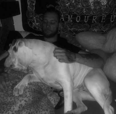 Zeigt her; eure "zu gross geratenen Schosshunde"-Beitrag-Bild