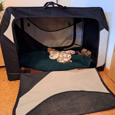 Trixi Transportbox Vario L abzugeben-Beitrag-Bild