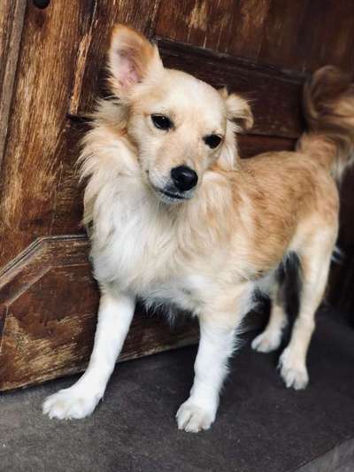 Doppelgänger gesucht !-Beitrag-Bild