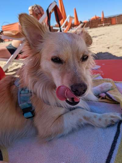 Handyfoto challenge Nr. 13: Waschlappen raus!-Beitrag-Bild