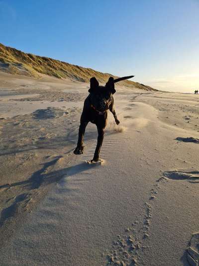 FOTO CHALLENGE Thema ,,durchdrehen"-Beitrag-Bild