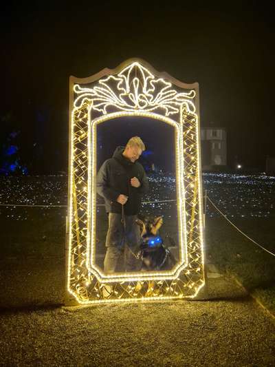 Hundetreffen-Gemeinsames Training, Hundefreunde-Bild