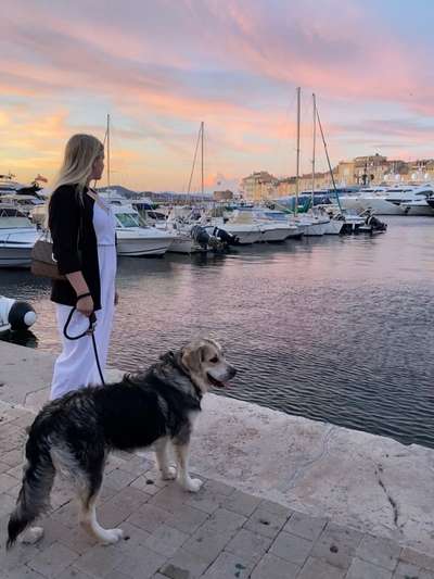 Die Dogorama Wochen Challenge-Beitrag-Bild