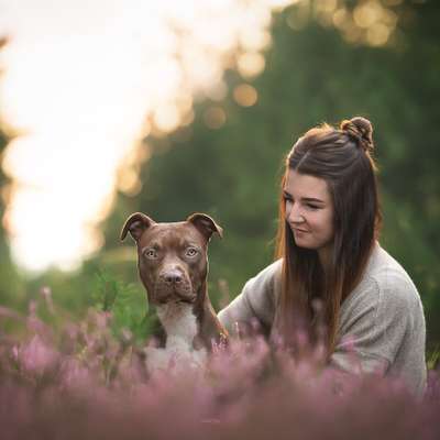 Hundetreffen-Gern Trainingspartner für kontrollierte Leinenspaziergänge und ggf auch mal zum toben gesucht 😊