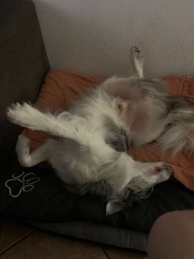 Die unbequemsten und lustigsten Schlafpositionen-Beitrag-Bild