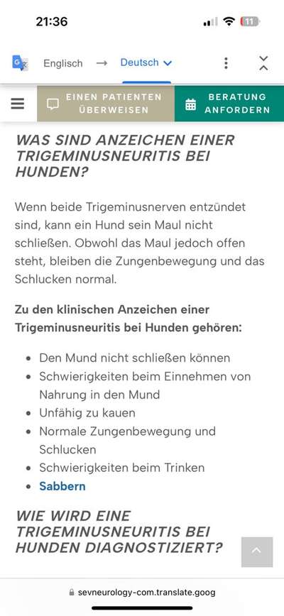 Kaumuskelmyositis-Beitrag-Bild