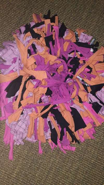 Schnüffelteppich-Beitrag-Bild