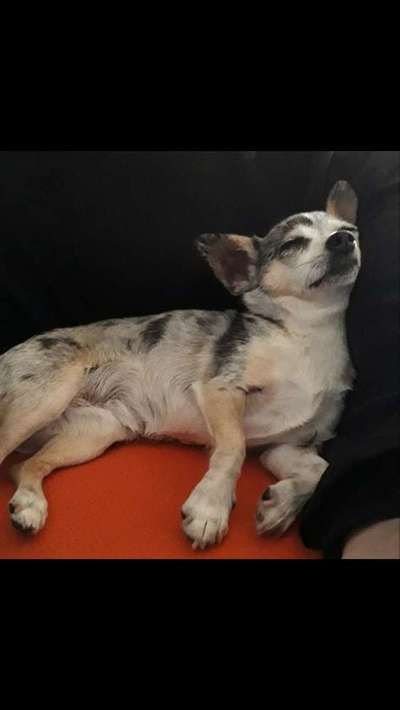 Die unbequemsten und lustigsten Schlafpositionen-Beitrag-Bild