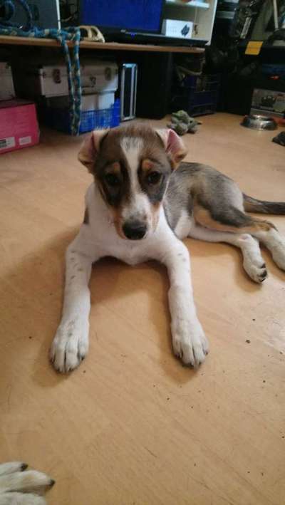 Fotochallenge No. 5-Beitrag-Bild