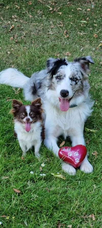 Foto Challenge Nr.: 115-Beitrag-Bild