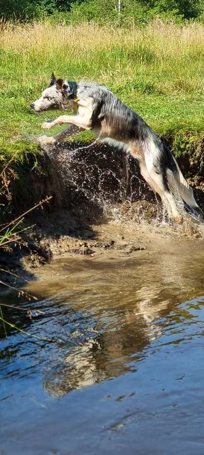 Foto-Challenge Nr. 90: Lebensfreude-Beitrag-Bild