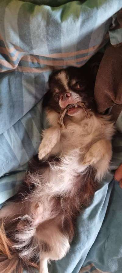 FOTO-Challenge  NR. 91: Die pure Entspannung-Beitrag-Bild