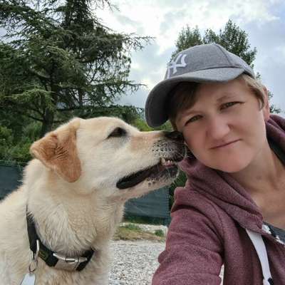 Hundetreffen-Spielen und Gassi gehen-Profilbild