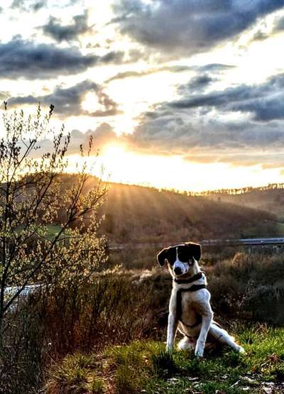 Farben Fotochallenge Sonnenlicht-Beitrag-Bild