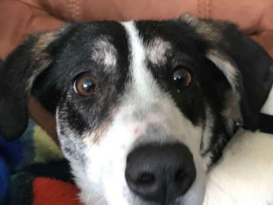 42. Handy Fotochallenge - Den richtigen Riecher haben-Beitrag-Bild