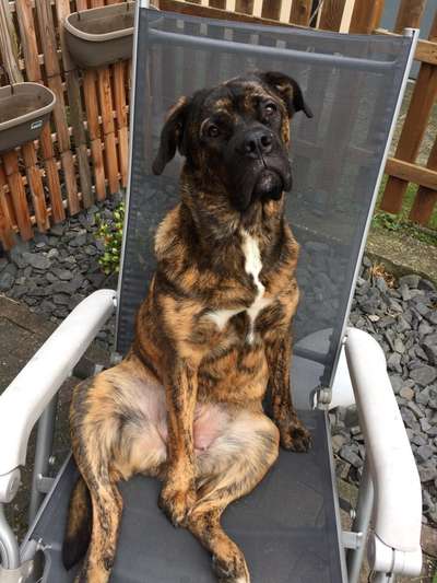 Challenge Nr 14
Eure Fellnasen auf ihrem Lieblingsplatz-Beitrag-Bild