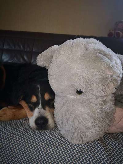 Die unbequemsten und lustigsten Schlafpositionen-Beitrag-Bild