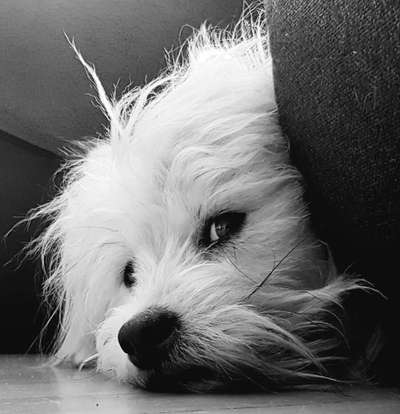 Fotochallange Nr. 57     PORTRÄT.   Beendet!!!!!!!!-Beitrag-Bild