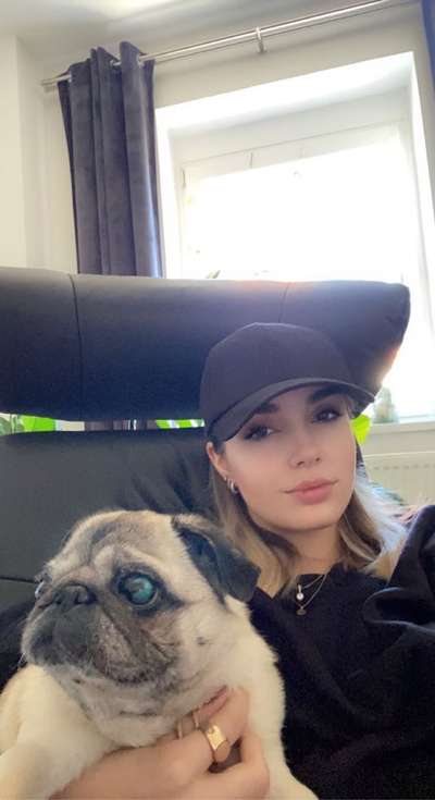 Dogorama Photo Challenge - Selfie Time!-Beitrag-Bild