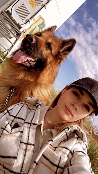 Dogorama Photo Challenge - Selfie Time!-Beitrag-Bild