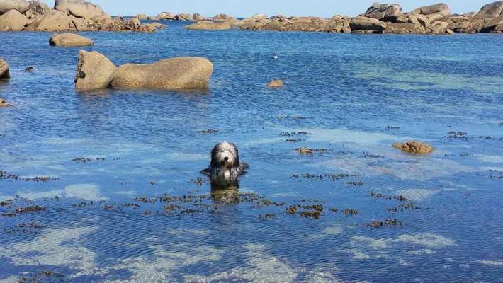 Foto Challenge - BEENDET - bitte aktuelle Challenge nutzen-Beitrag-Bild