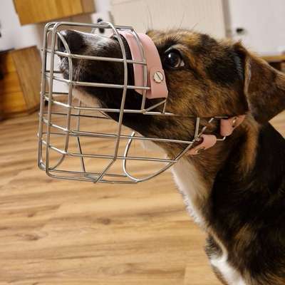 %{de_profession_title}-Muzzle-Check: Passt der aktuelle?-Bild