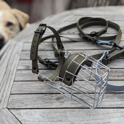 %{de_profession_title}-Komplettservice: Beratung & Maulkorb-Bild