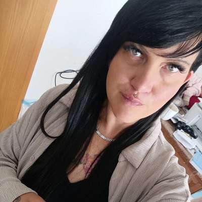 Hundetreffen-Welpen Spaziergang-Profilbild