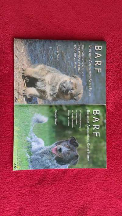 Neue Hunde-Mama-Beitrag-Bild