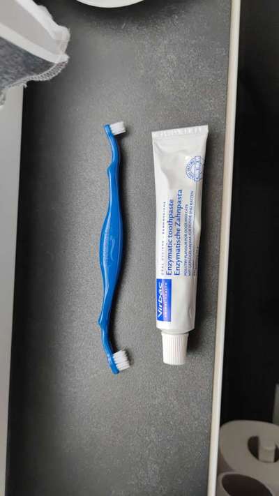 Hilfe: Wackelnde Zähne bei kleinen Hunderassen-Beitrag-Bild