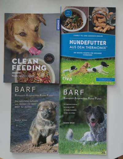 Junghund, wiederkehrender Durchfall-Beitrag-Bild