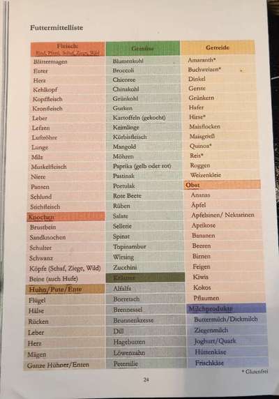 Mein Hund muss nachts jede Stunde raus-Beitrag-Bild